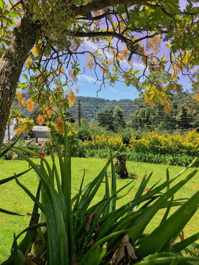 Andrews Hostel Nuwara Eliya Zewnętrze zdjęcie